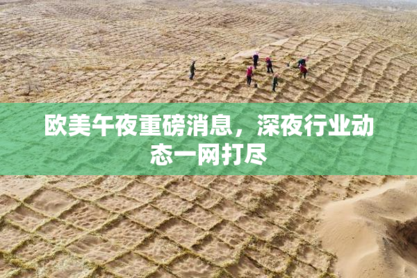 欧美午夜重磅消息，深夜行业动态一网打尽