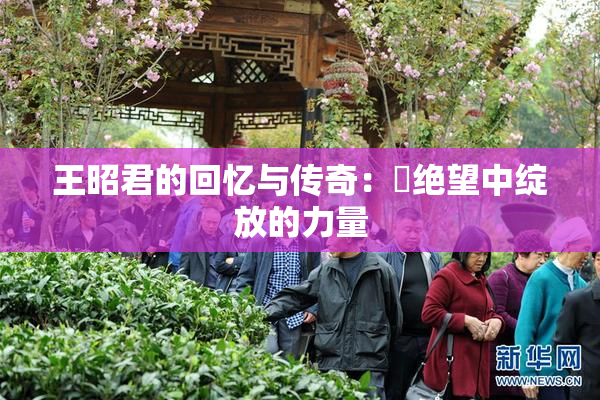 王昭君的回忆与传奇：從绝望中绽放的力量