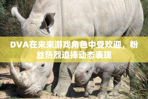 DVA在未来游戏角色中受欢迎，粉丝热烈追捧动态表现