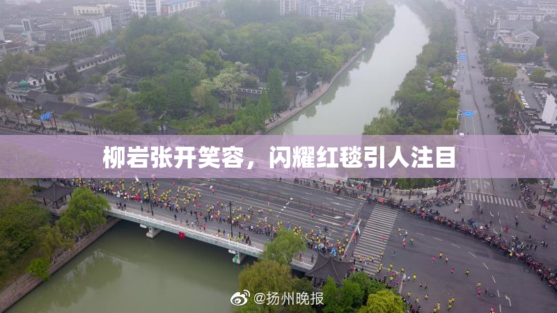 柳岩张开笑容，闪耀红毯引人注目