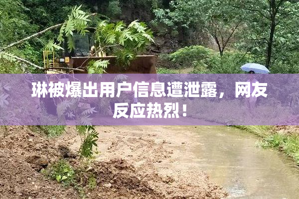 琳被爆出用户信息遭泄露，网友反应热烈！