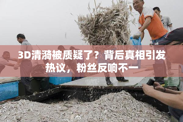 3D清漪被质疑了？背后真相引发热议，粉丝反响不一