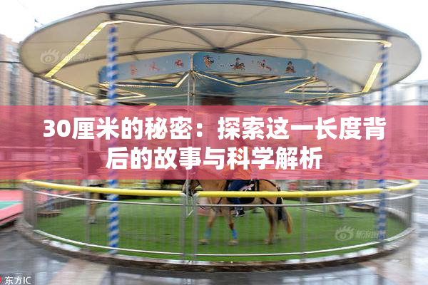 30厘米的秘密：探索这一长度背后的故事与科学解析