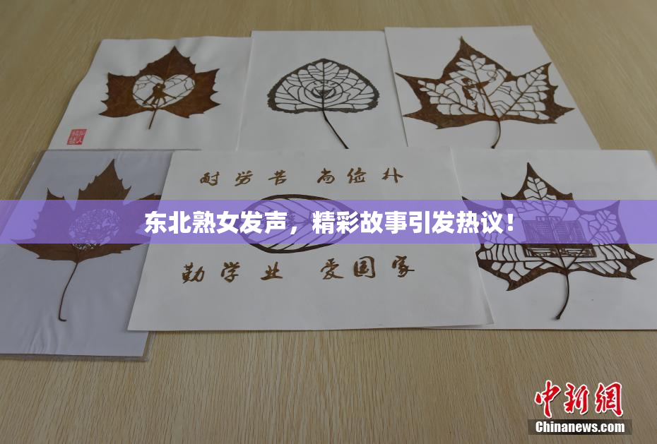 东北熟女发声，精彩故事引发热议！