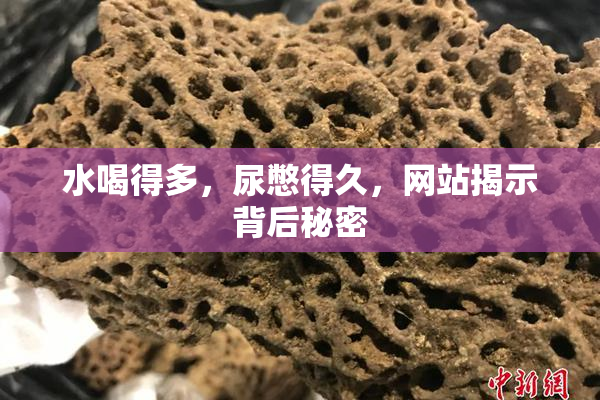 水喝得多，尿憋得久，网站揭示背后秘密