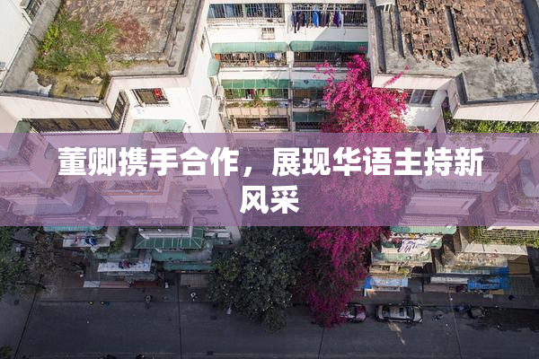 董卿携手合作，展现华语主持新风采