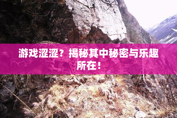 游戏涩涩？揭秘其中秘密与乐趣所在！