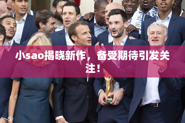 小sao揭晓新作，备受期待引发关注！