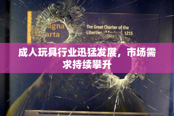 成人玩具行业迅猛发展，市场需求持续攀升