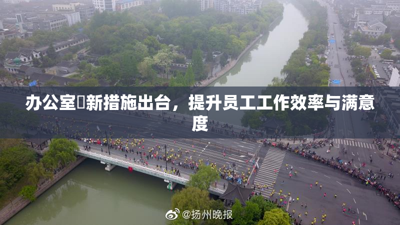 办公室強新措施出台，提升员工工作效率与满意度