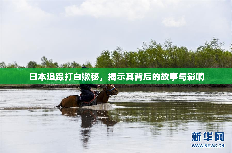 日本追踪打白嫩秘，揭示其背后的故事与影响