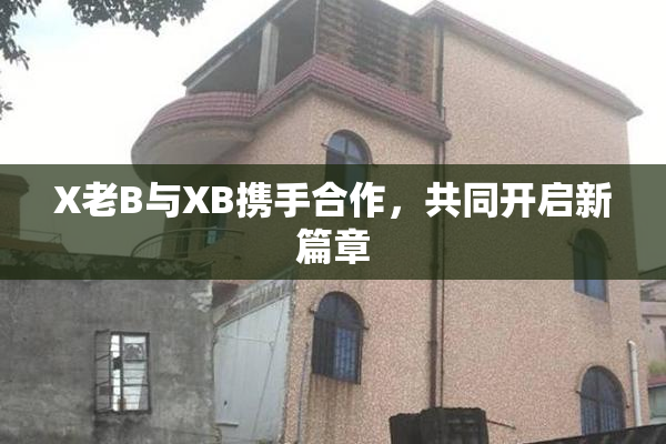 X老B与XB携手合作，共同开启新篇章