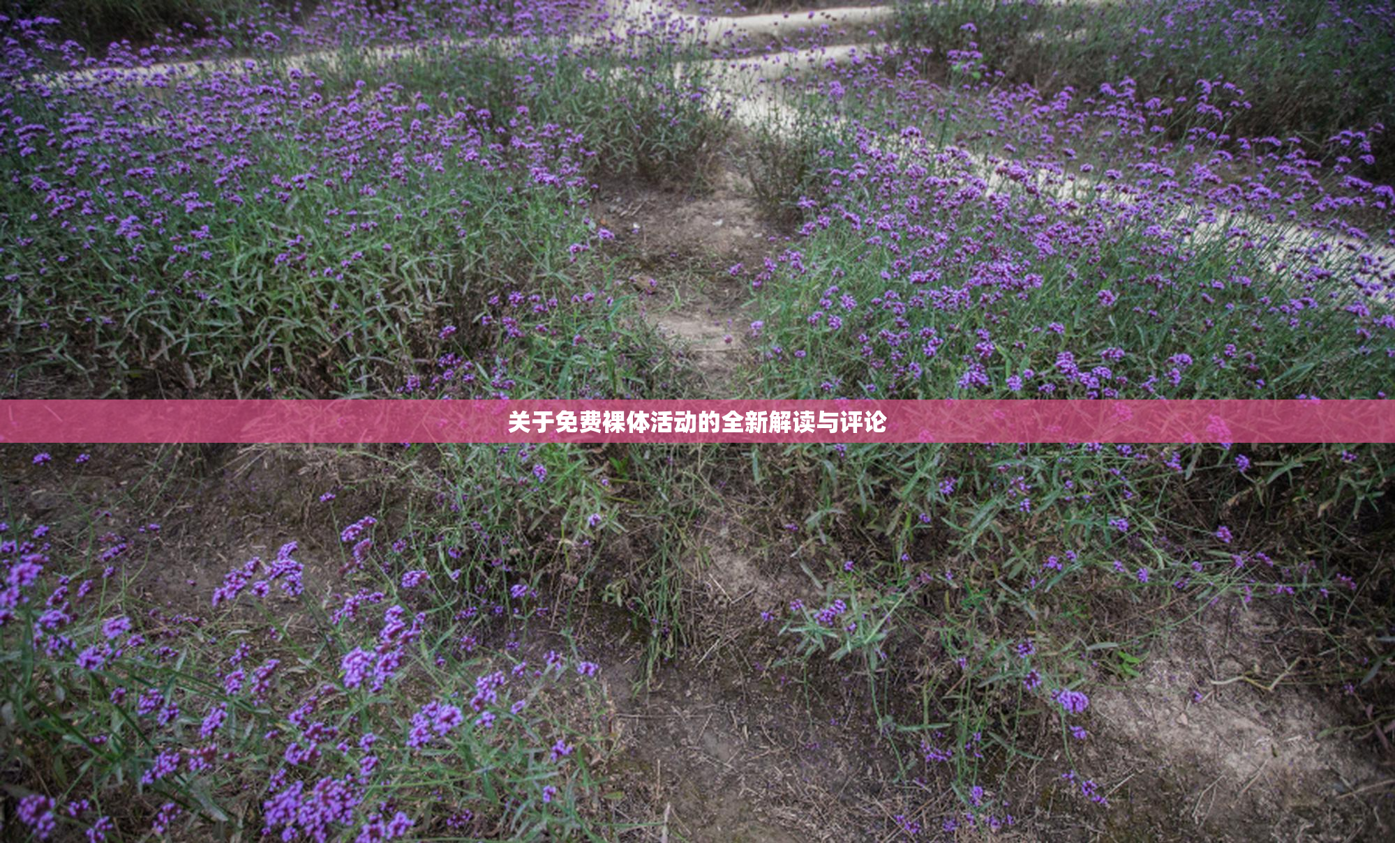 关于免费裸体活动的全新解读与评论