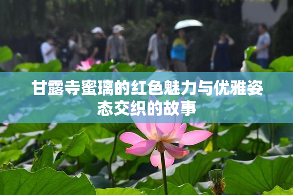 甘露寺蜜璃的红色魅力与优雅姿态交织的故事