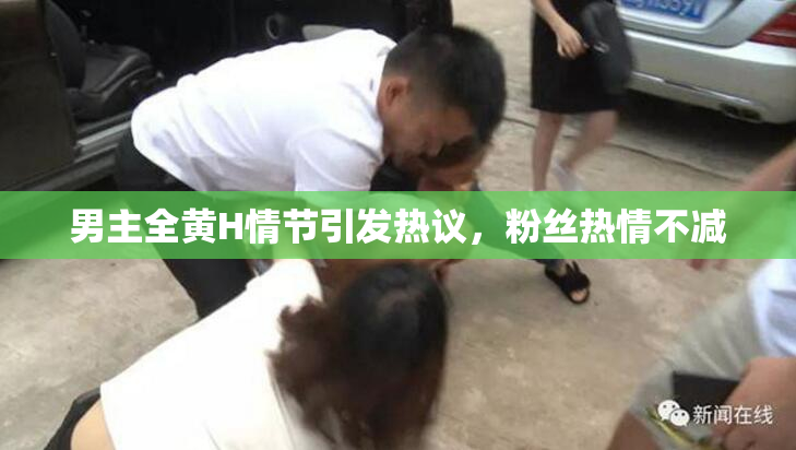 男主全黄H情节引发热议，粉丝热情不减