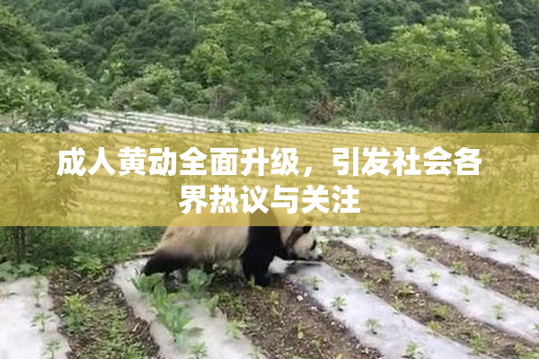成人黄动全面升级，引发社会各界热议与关注