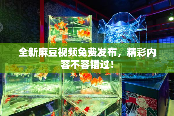 全新麻豆视频免费发布，精彩内容不容错过！