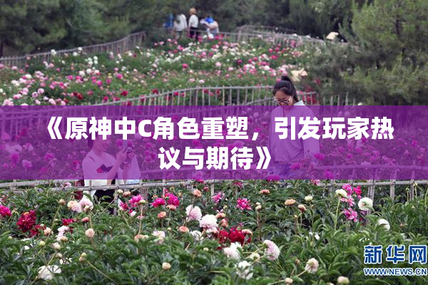 《原神中C角色重塑，引发玩家热议与期待》