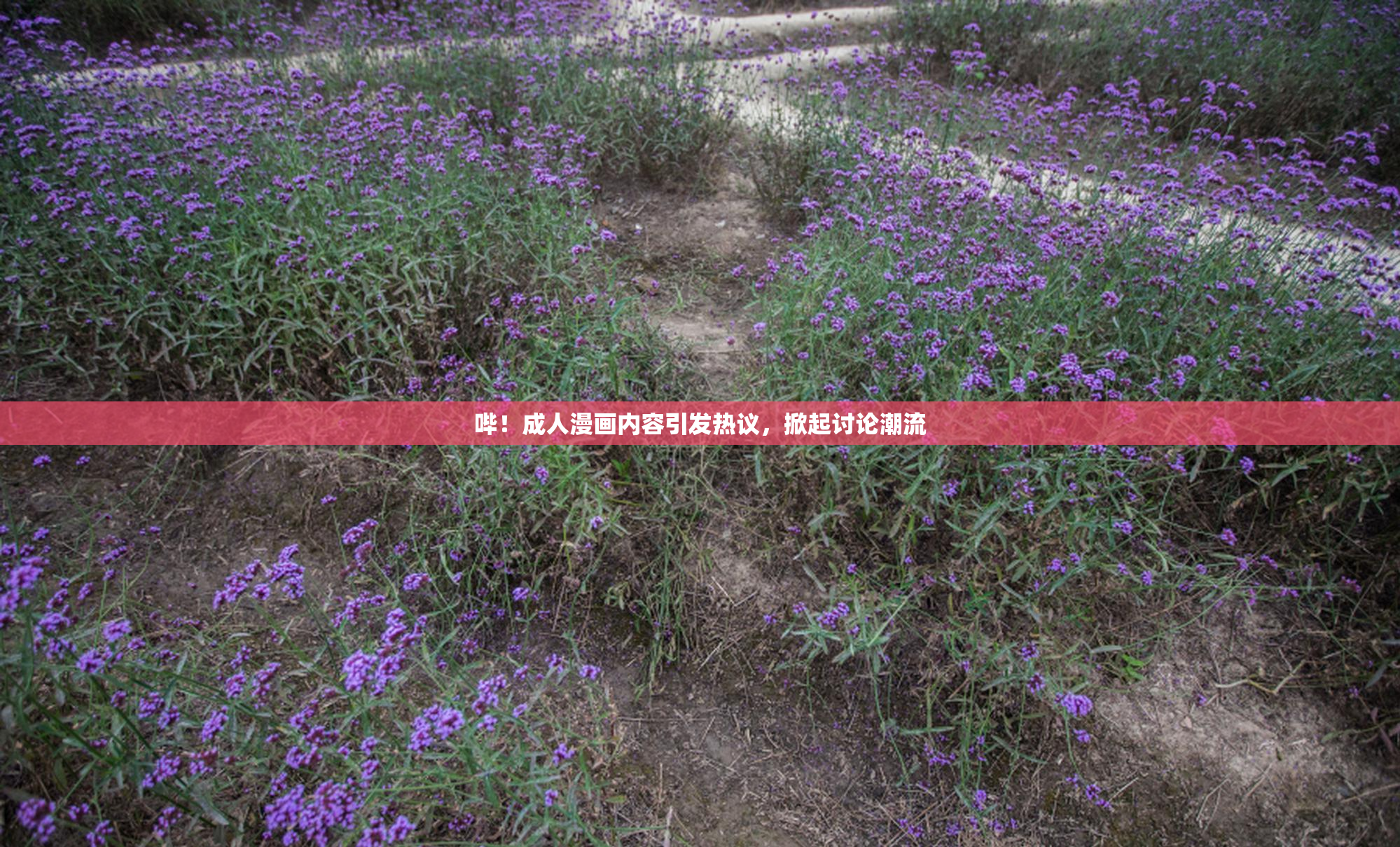 哔！成人漫画内容引发热议，掀起讨论潮流