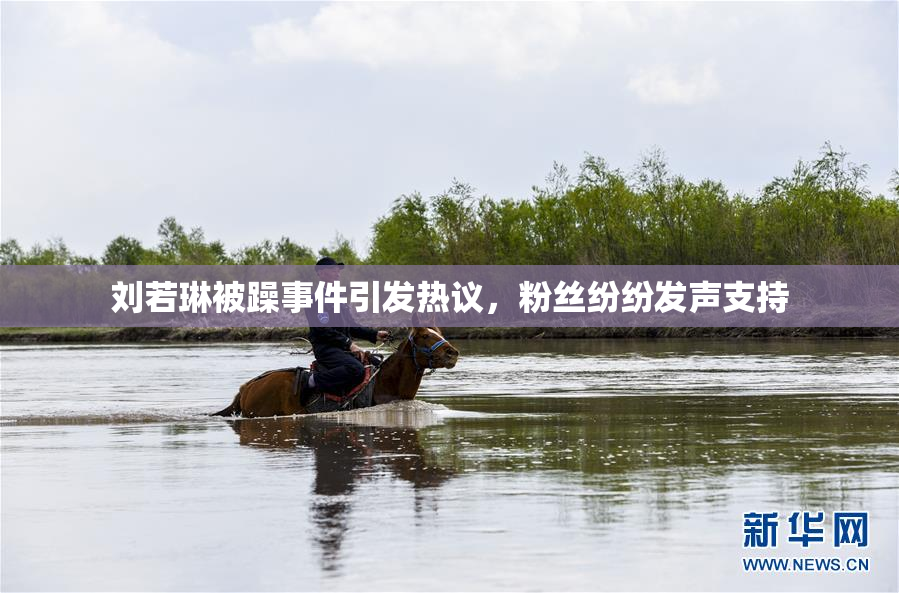 刘若琳被躁事件引发热议，粉丝纷纷发声支持