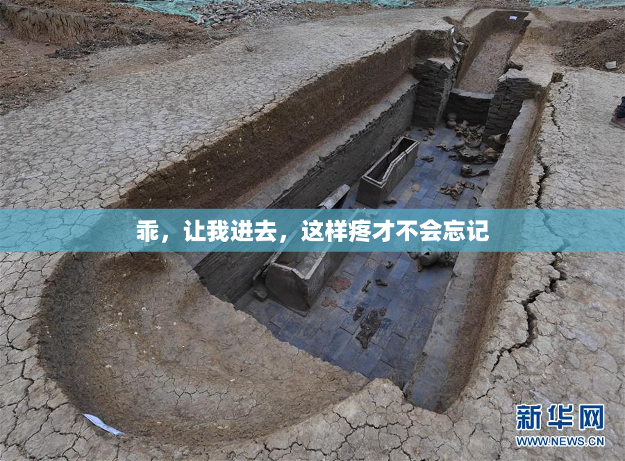 乖，让我进去，这样疼才不会忘记