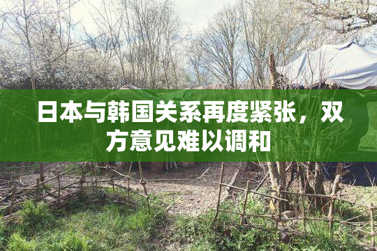 日本与韩国关系再度紧张，双方意见难以调和