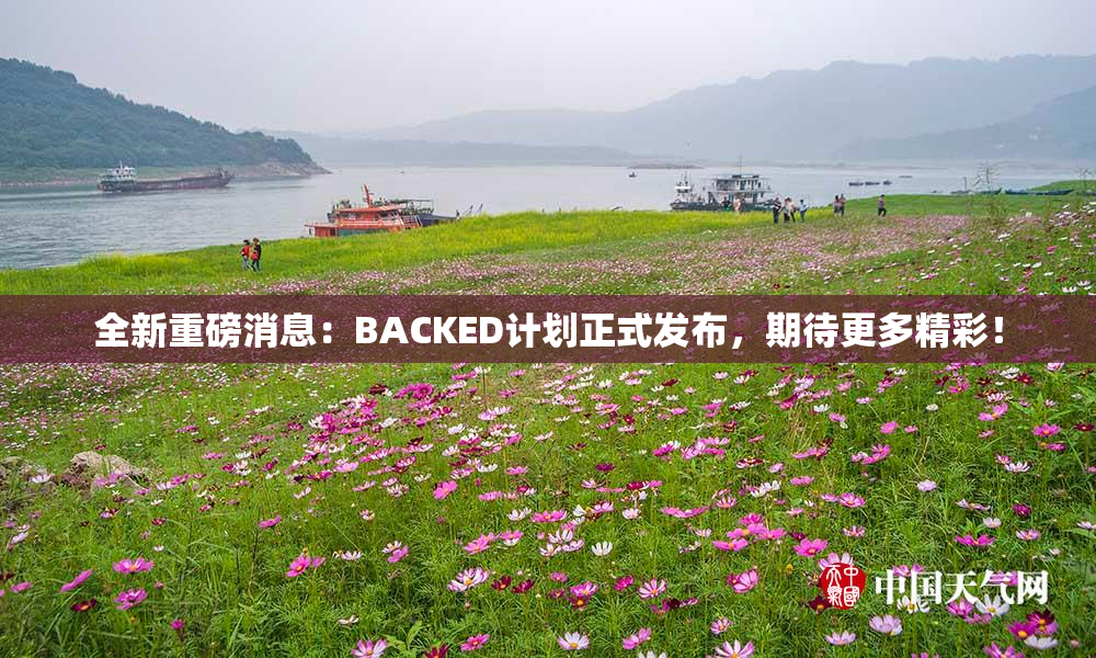 全新重磅消息：BACKED计划正式发布，期待更多精彩！