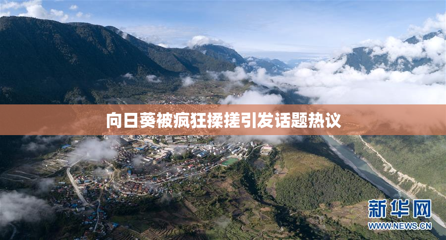 向日葵被疯狂揉搓引发话题热议