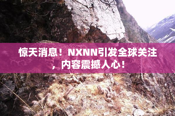 惊天消息！NXNN引发全球关注，内容震撼人心！