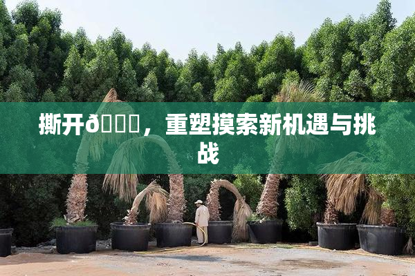 撕开👙，重塑摸索新机遇与挑战