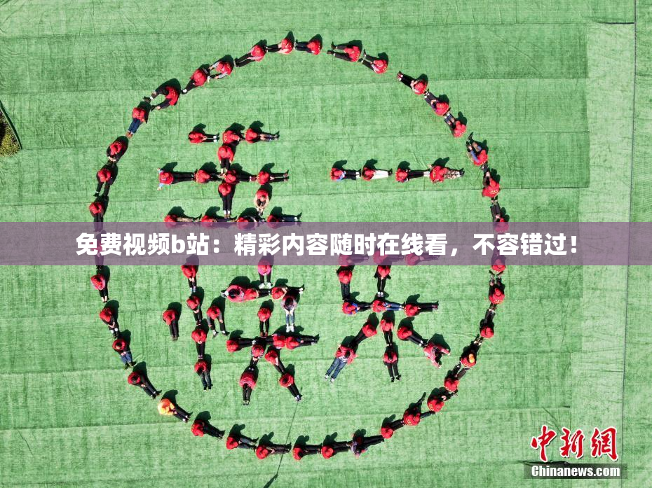 免费视频b站：精彩内容随时在线看，不容错过！