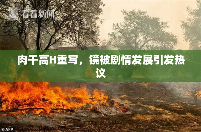 肉干高H重写，镜被剧情发展引发热议