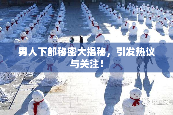 男人下部秘密大揭秘，引发热议与关注！
