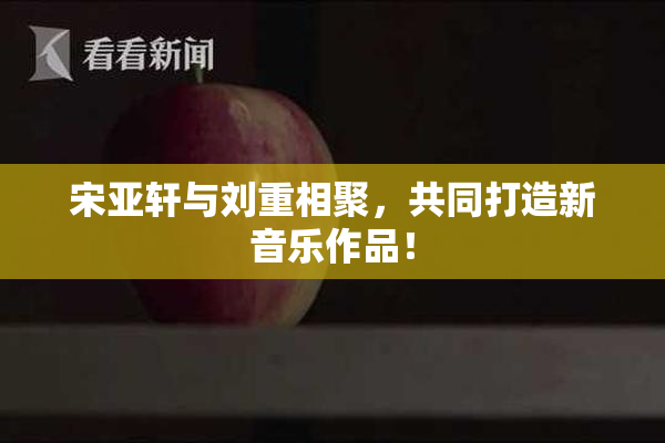 宋亚轩与刘重相聚，共同打造新音乐作品！