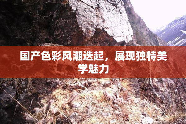 国产色彩风潮迭起，展现独特美学魅力