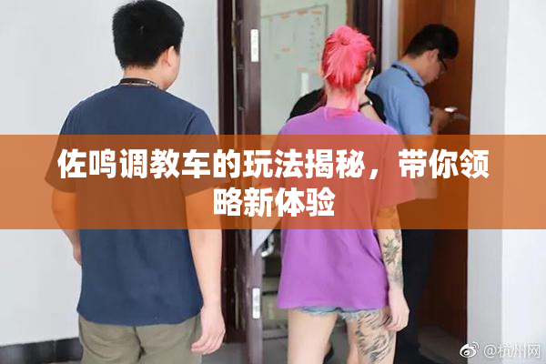 佐鸣调教车的玩法揭秘，带你领略新体验