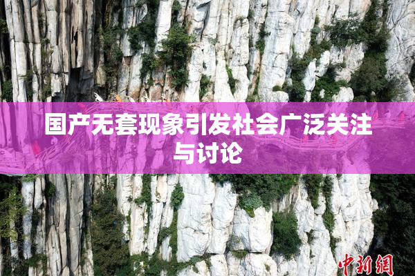 国产无套现象引发社会广泛关注与讨论