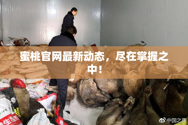 蜜桃官网最新动态，尽在掌握之中！
