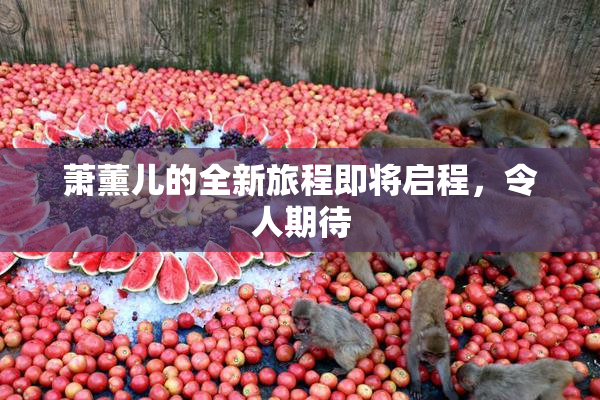 萧薰儿的全新旅程即将启程，令人期待