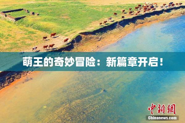 萌王的奇妙冒险：新篇章开启！