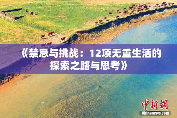 《禁忌与挑战：12项无重生活的探索之路与思考》