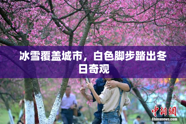 冰雪覆盖城市，白色脚步踏出冬日奇观