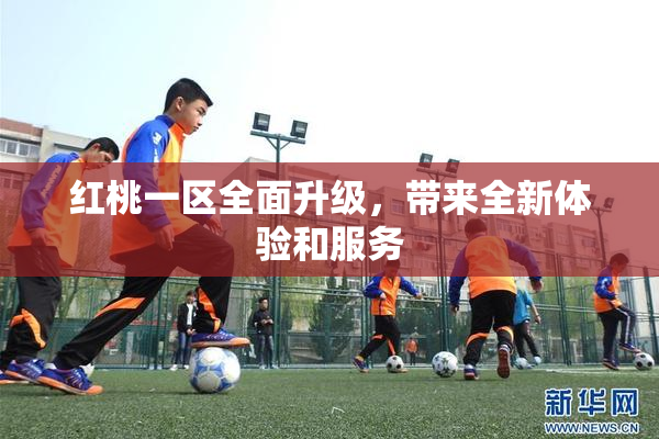 红桃一区全面升级，带来全新体验和服务