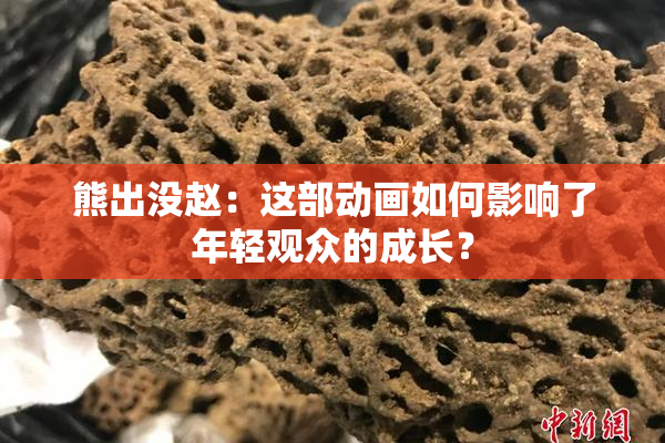 熊出没赵：这部动画如何影响了年轻观众的成长？