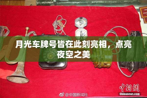 月光车牌号皆在此刻亮相，点亮夜空之美