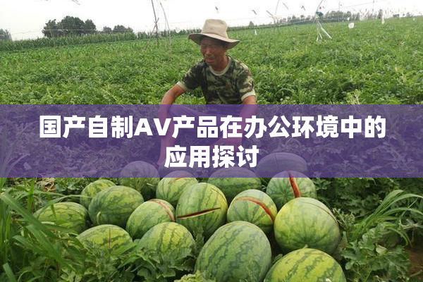 国产自制AV产品在办公环境中的应用探讨