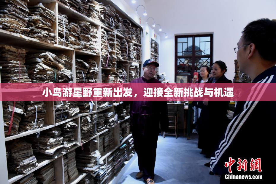 小鸟游星野重新出发，迎接全新挑战与机遇
