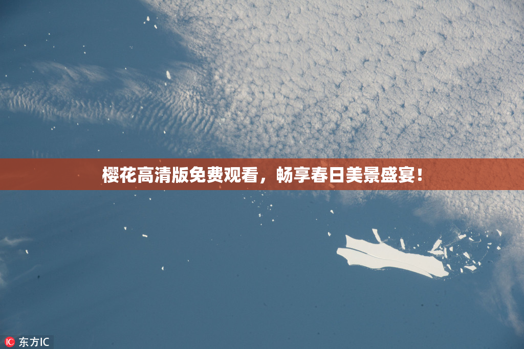 樱花高清版免费观看，畅享春日美景盛宴！