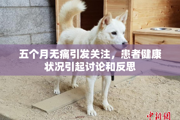 五个月无痛引发关注，患者健康状况引起讨论和反思