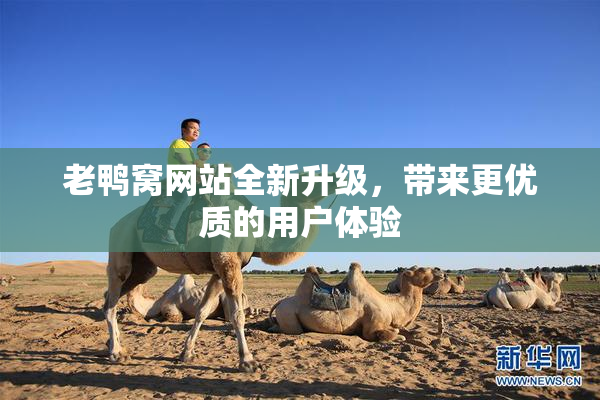 老鸭窝网站全新升级，带来更优质的用户体验